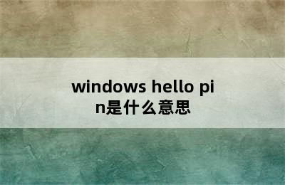 windows hello pin是什么意思